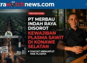 PT Merbau Indah Raya Disorot Terkait Kewajiban Plasma Sawit di Konawe Selatan