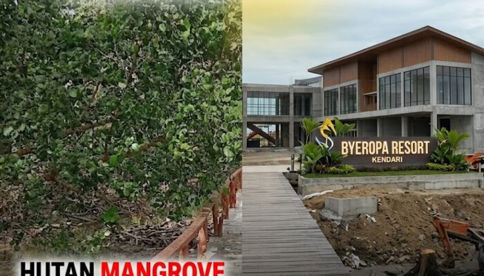 Dugaan Pelanggaran Lingkungan: Resort ‘ByEropa’ di Kendari Diduga Dibangun di Atas Kawasan Hutan Mangrove