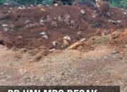 DUGAAN PEMBUANGAN LIMBAH ORE NIKEL DI RANOOHA, PB HMI MPO DESAK POLDa DAN DLH SULTRA BERTINDAK